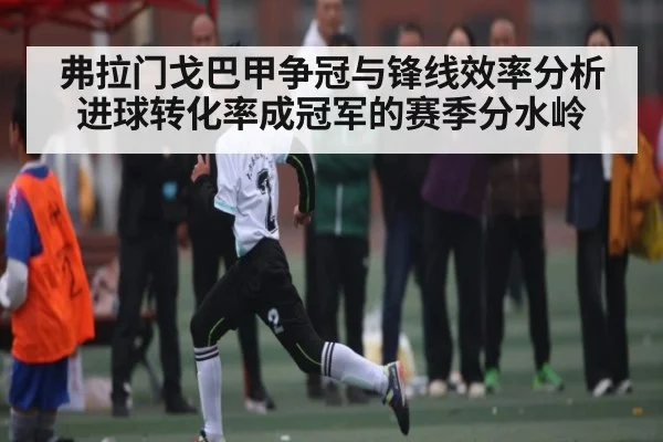 弗拉门戈巴甲争冠与锋线效率分析 进球转化率成冠军的赛季分水岭